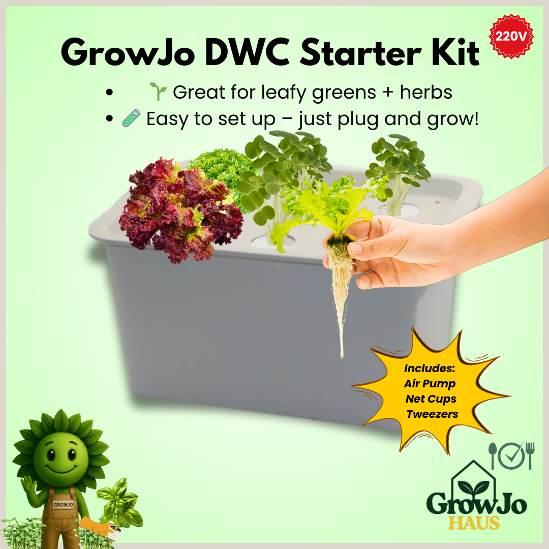 Growjo DWC Starter Kit