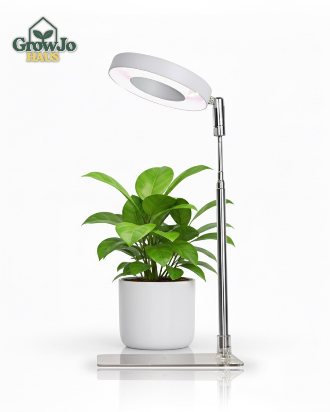π± Full Spectrum Indoor LED Grow Light with Adjustable Stand