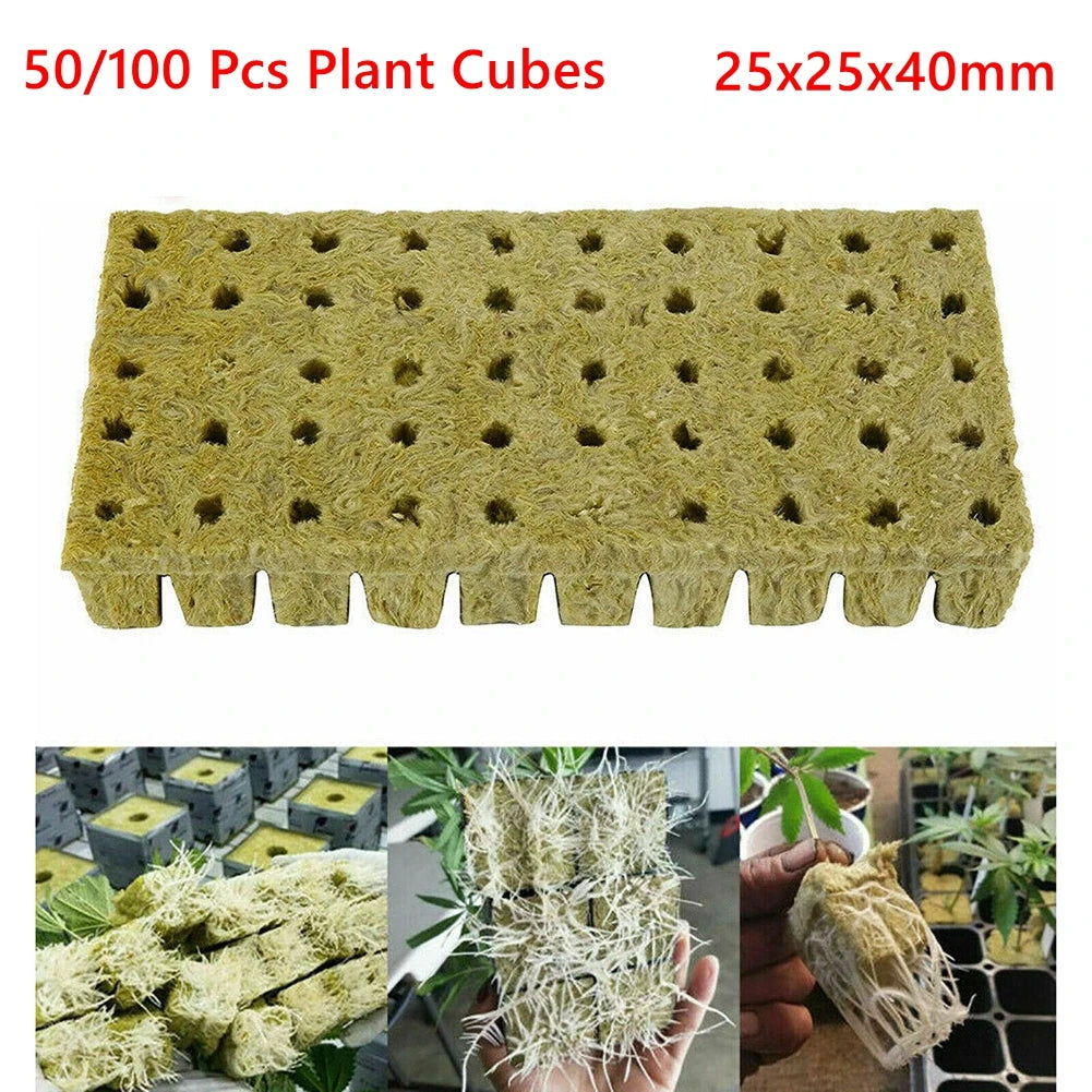 50/100Pcs Starter Plugs Rock Grow Tray Wool Cubes Hydroponic Soilless