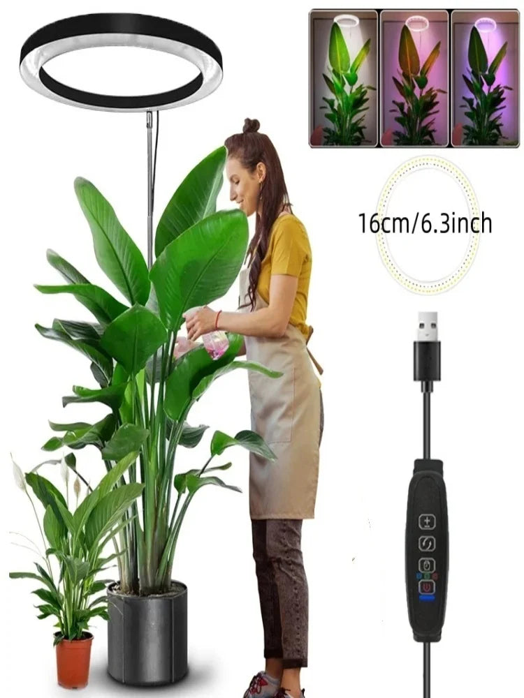 165cm Height Adjustable LED Ring Grow Lights Indoor Plants Full