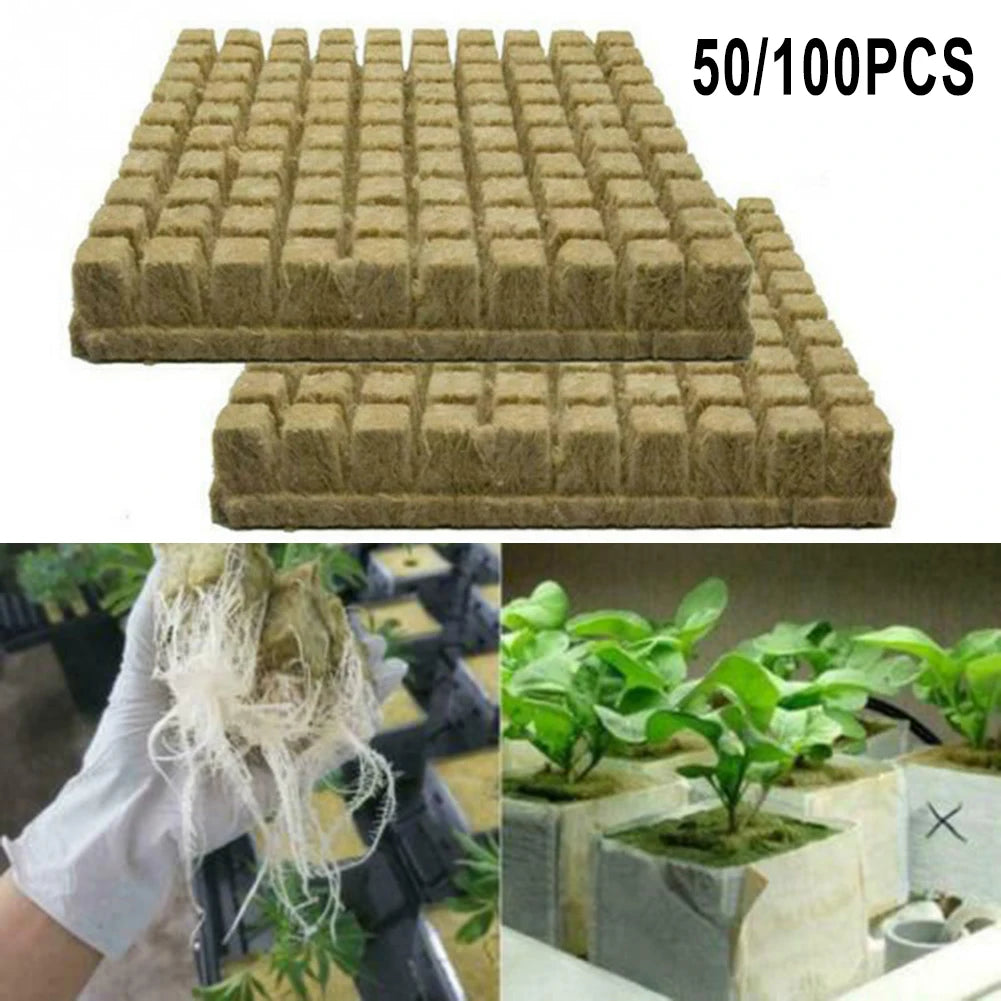 50/100Pcs Starter Plugs Rock Grow Tray Wool Cubes Hydroponic Soilless