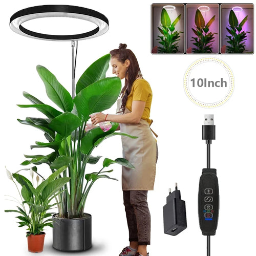 165cm Height Adjustable LED Ring Grow Lights Indoor Plants Full