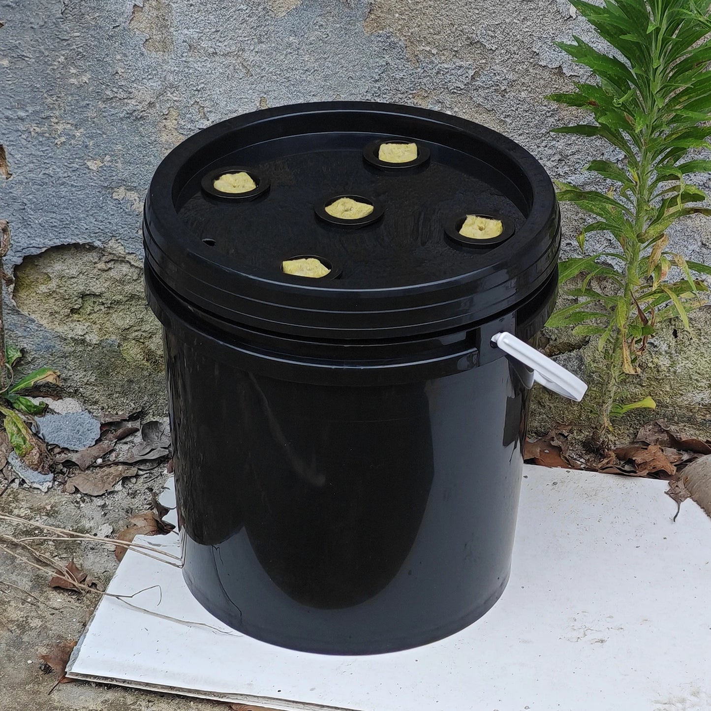 GrowJo Bucket Bundle