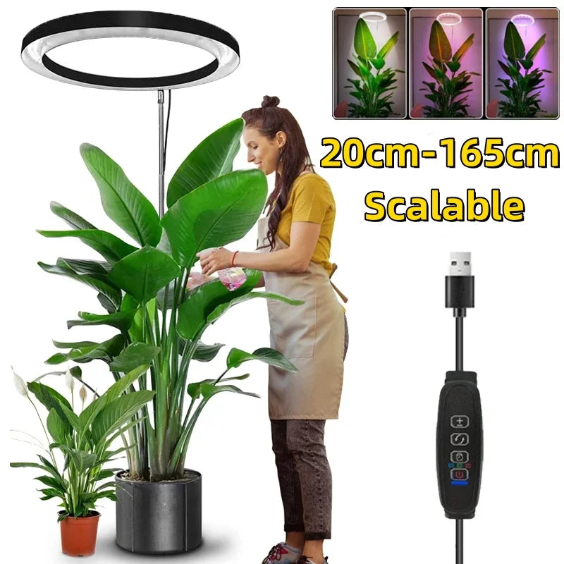 165cm Height Adjustable LED Ring Grow Lights Indoor Plants Full