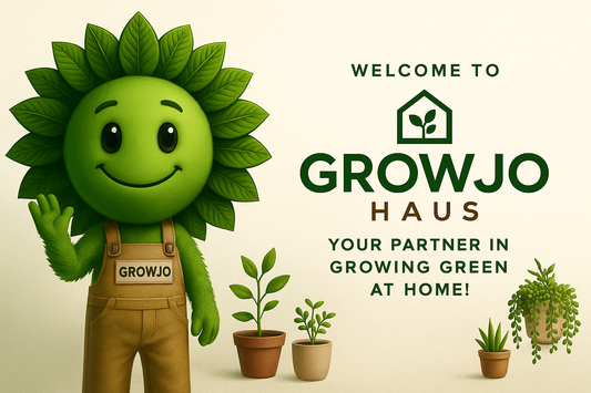 How to Start Your First Indoor Garden in 3 Easy Steps