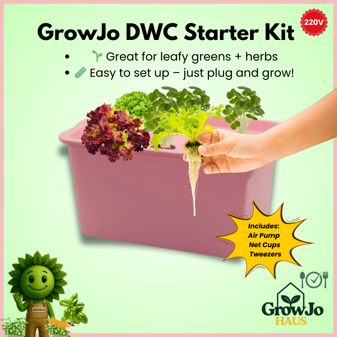 Growjo DWC Starter Kit
