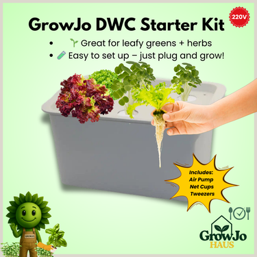 Growjo DWC Starter Kit