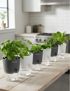 GrowJo Self-Watering Planter Set (5/10PCS)