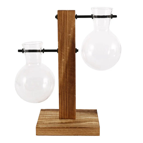 Glass Desktop Planter Bulb Vase Wooden Stand Hydroponic Plant