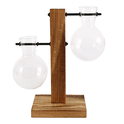 Glass Desktop Planter Bulb Vase Wooden Stand Hydroponic Plant
