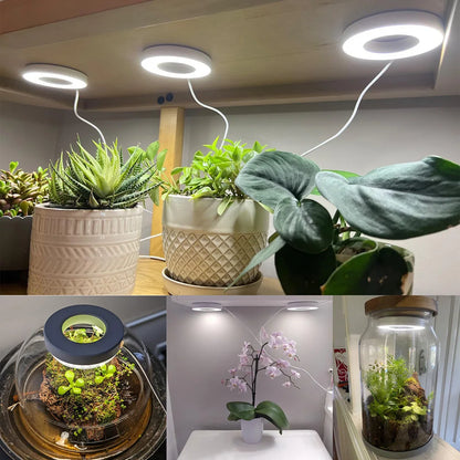 GrowJo HAUS Full Spectrum LED Grow Light | 10 Dimmable Levels, Auto Timer, Under-Cabinet Halo Lamp for Indoor Plants