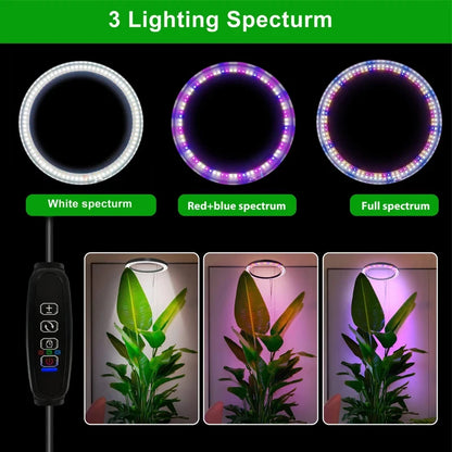 165cm Height Adjustable LED Ring Grow Lights Indoor Plants Full