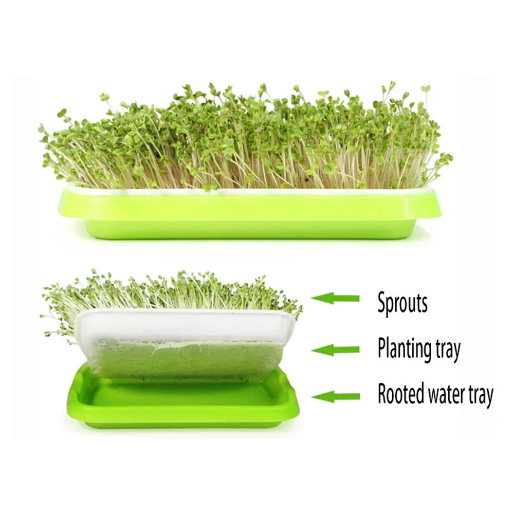 Microgreens Sprouter Tray Hydroponic / Sprouting Tray For Sprout