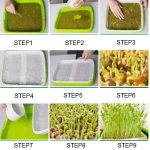 Microgreens Sprouter Tray Hydroponic / Sprouting Tray For Sprout
