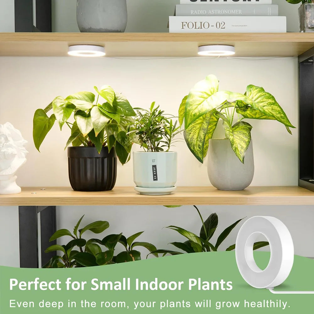 GrowJo HAUS Full Spectrum LED Grow Light | 10 Dimmable Levels, Auto Timer, Under-Cabinet Halo Lamp for Indoor Plants