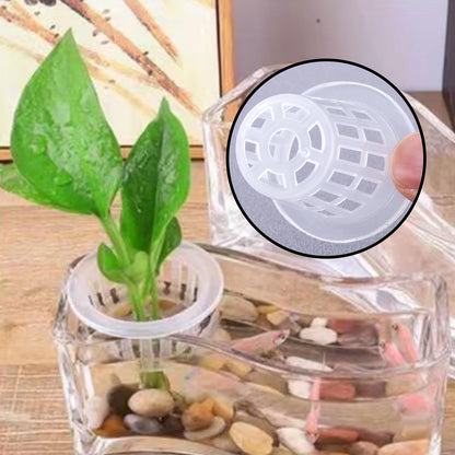 10/50pcs Hydroponic Planting Basket Plant Growing Container Garden