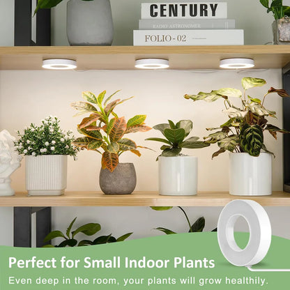 GrowJo HAUS Full Spectrum LED Grow Light | 10 Dimmable Levels, Auto Timer, Under-Cabinet Halo Lamp for Indoor Plants