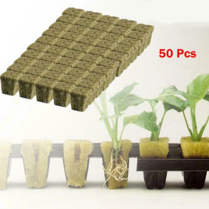 50/100Pcs Starter Plugs Rock Grow Tray Wool Cubes Hydroponic Soilless
