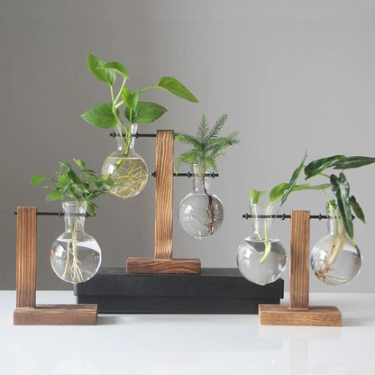 Glass Desktop Planter Bulb Vase Wooden Stand Hydroponic Plant