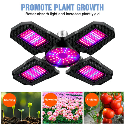 Plant LED Grow Light Full Spectrum Phytolamp Indoor Flower Seeds