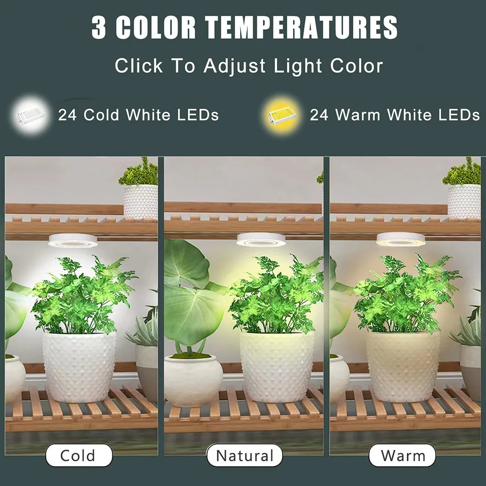 GrowJo HAUS Full Spectrum LED Grow Light | 10 Dimmable Levels, Auto Timer, Under-Cabinet Halo Lamp for Indoor Plants