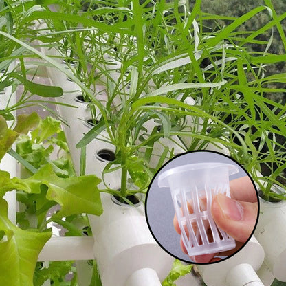 10/50pcs Hydroponic Planting Basket Plant Growing Container Garden