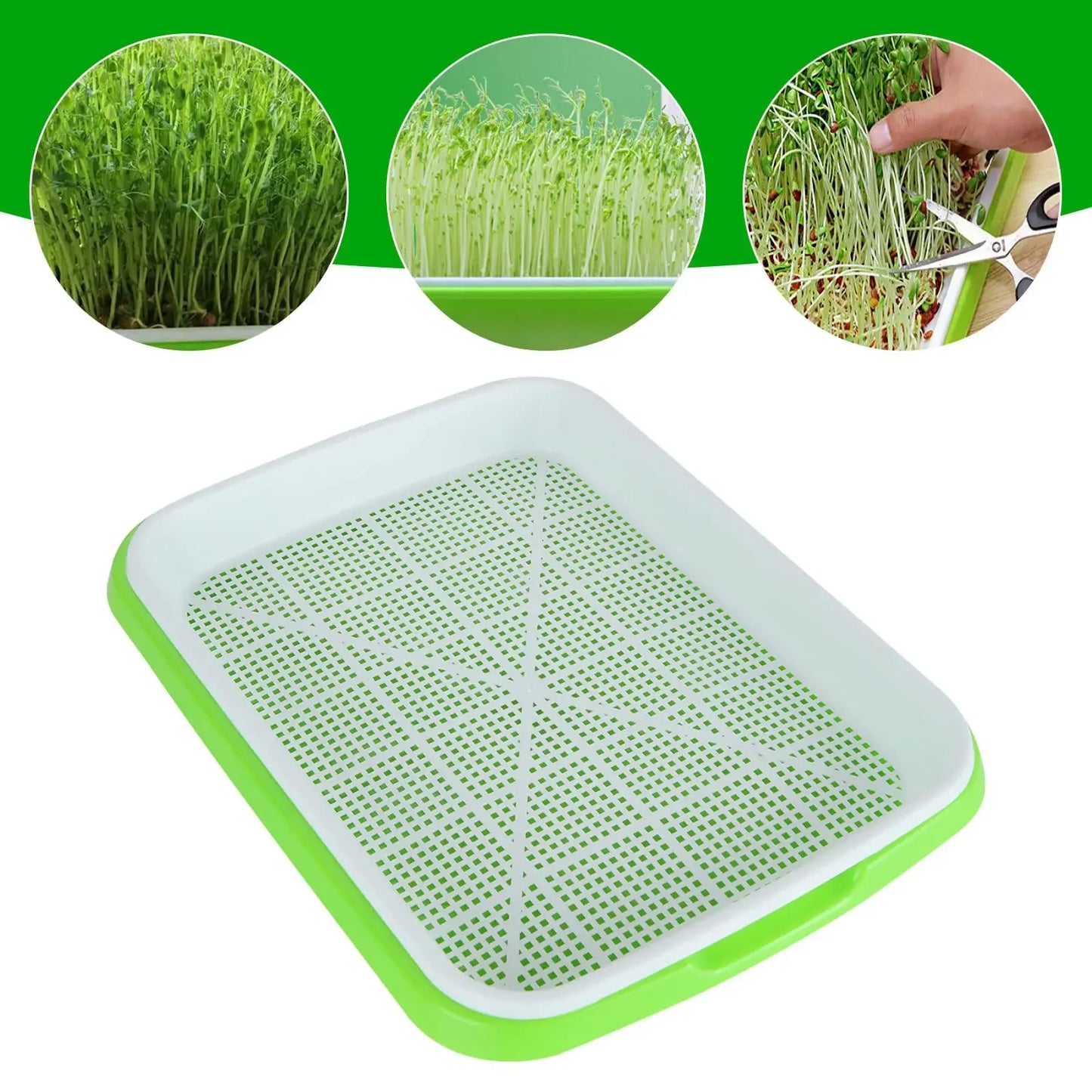 Microgreens Sprouter Tray Hydroponic / Sprouting Tray For Sprout