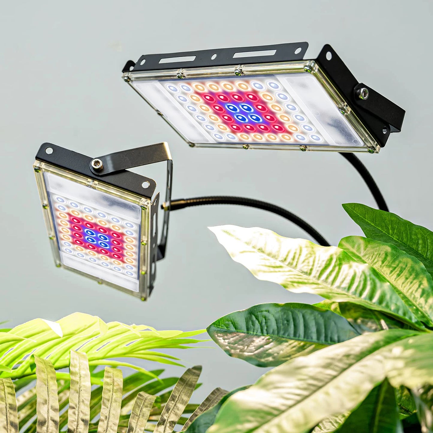 LED Grow Light Full Spectrum Floor Plant Lights Dimmable On/Off Switch Timer Adjustable Tripod Stand Grow Lamp for Indoor Plants