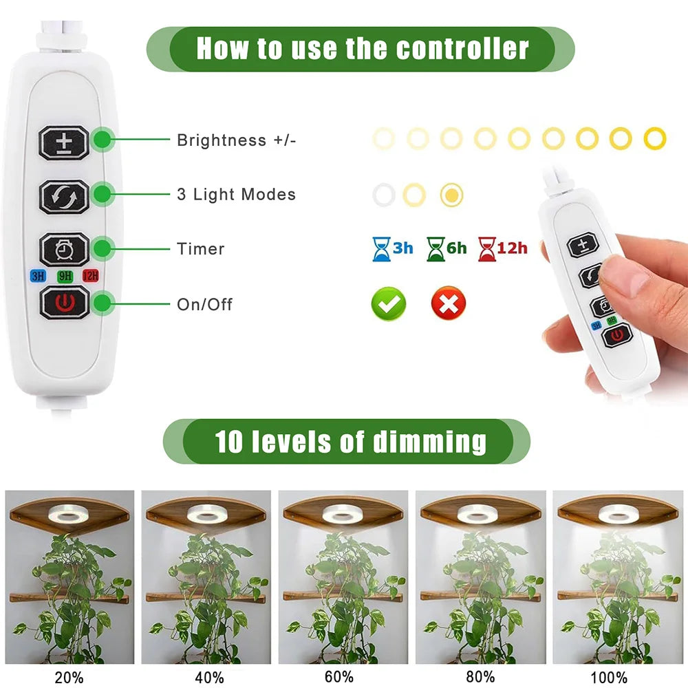 GrowJo HAUS Full Spectrum LED Grow Light | 10 Dimmable Levels, Auto Timer, Under-Cabinet Halo Lamp for Indoor Plants