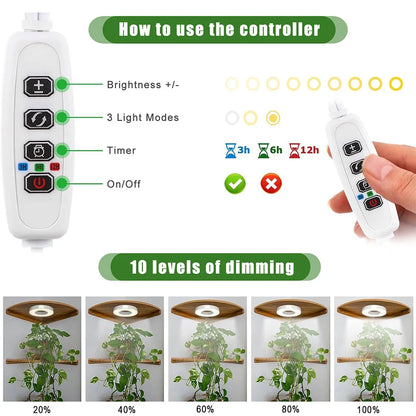 GrowJo HAUS Full Spectrum LED Grow Light | 10 Dimmable Levels, Auto Timer, Under-Cabinet Halo Lamp for Indoor Plants