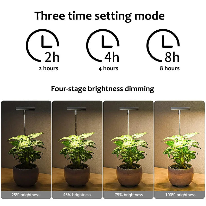 LED Indoor  Angel Ring Plant Growth Light 2/4/8H On/Off Timer USB 5V