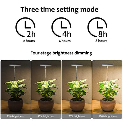 LED Indoor  Angel Ring Plant Growth Light 2/4/8H On/Off Timer USB 5V