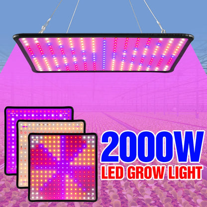 LED Full Spectrum Phytolamp For Plants Grow Light Indoor Flower Seeds