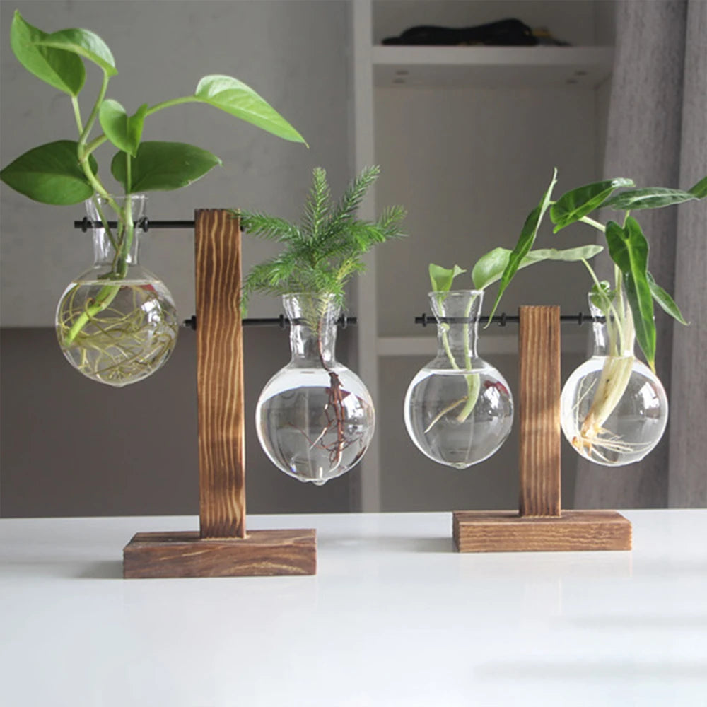 Glass Desktop Planter Bulb Vase Wooden Stand Hydroponic Plant