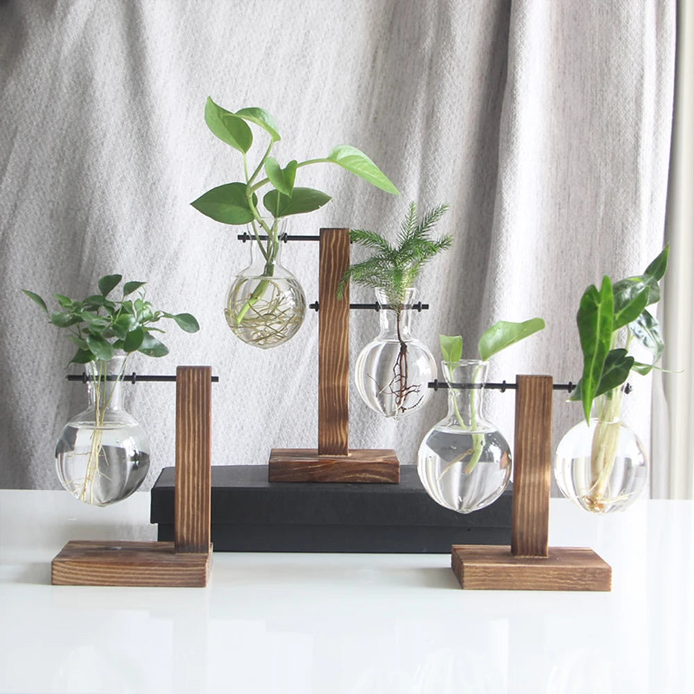 Glass Desktop Planter Bulb Vase Wooden Stand Hydroponic Plant