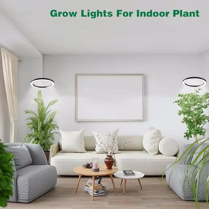165cm Height Adjustable LED Ring Grow Lights Indoor Plants Full