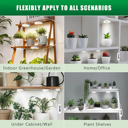 GrowJo HAUS Full Spectrum LED Grow Light | 10 Dimmable Levels, Auto Timer, Under-Cabinet Halo Lamp for Indoor Plants