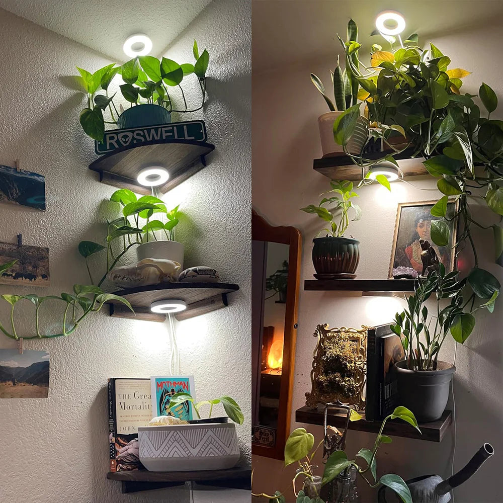 GrowJo HAUS Full Spectrum LED Grow Light | 10 Dimmable Levels, Auto Timer, Under-Cabinet Halo Lamp for Indoor Plants