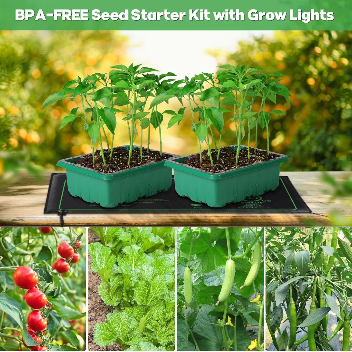 Seed Starter Tray with Grow Light Seed Starter Kit with Heat Mat Seedling Starter Trays with Timing Thicken Trays Humidity Domes