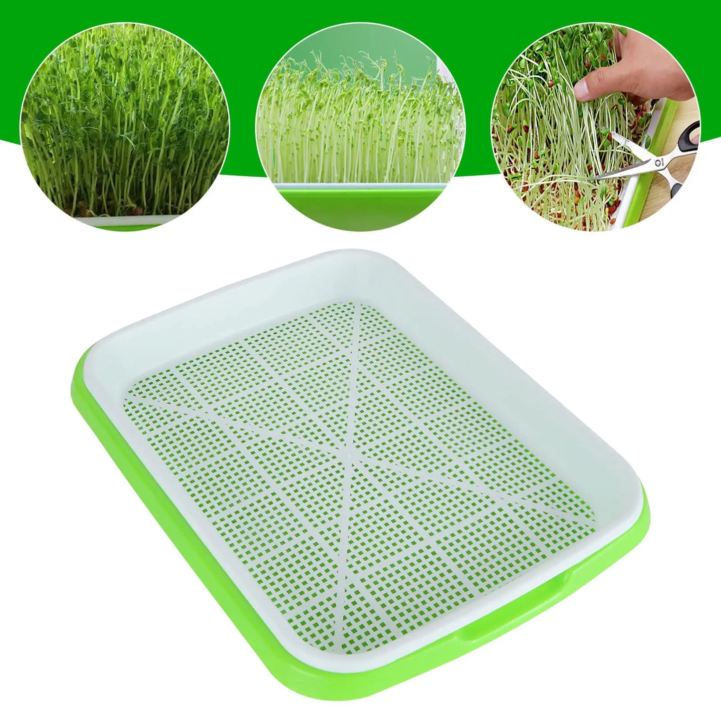 Microgreens Sprouter Tray Hydroponic / Sprouting Tray For Sprout