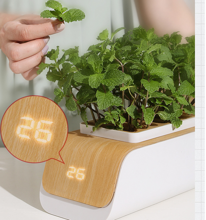 GrowJo Smart Garden Bundle