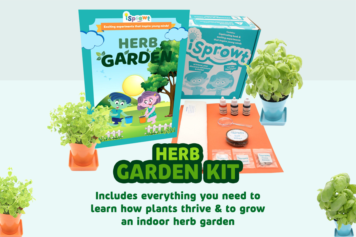 Fun, Hands-On Engaging STEM Kit - Herb Garden