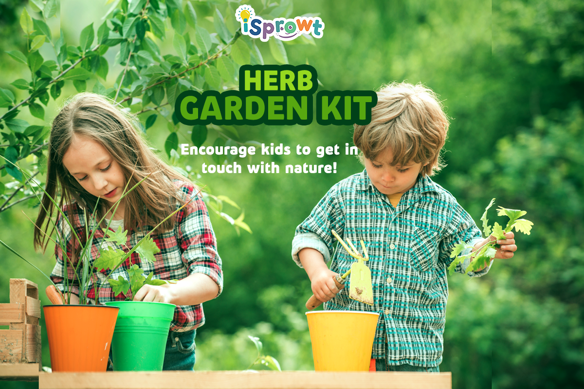 Fun, Hands-On Engaging STEM Kit - Herb Garden