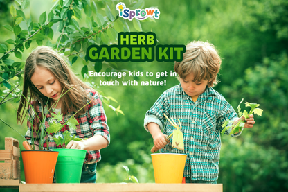 Fun, Hands-On Engaging STEM Kit - Herb Garden