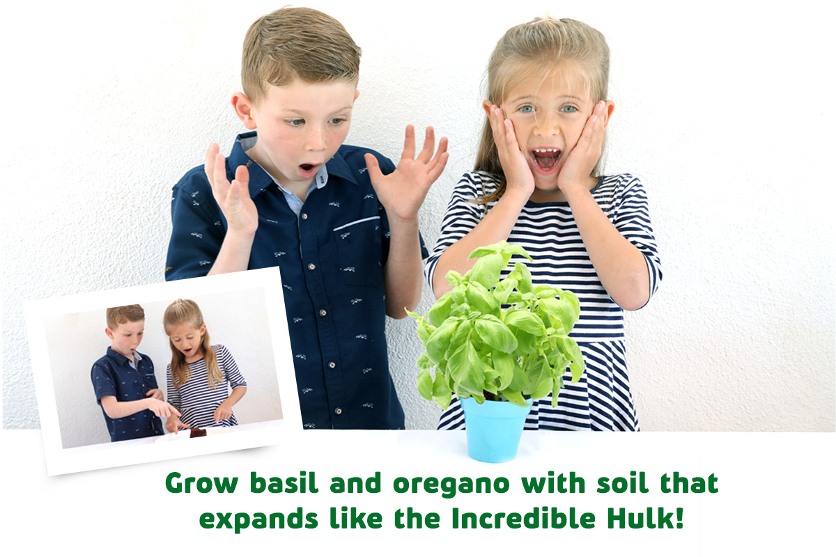 Fun, Hands-On Engaging STEM Kit - Herb Garden