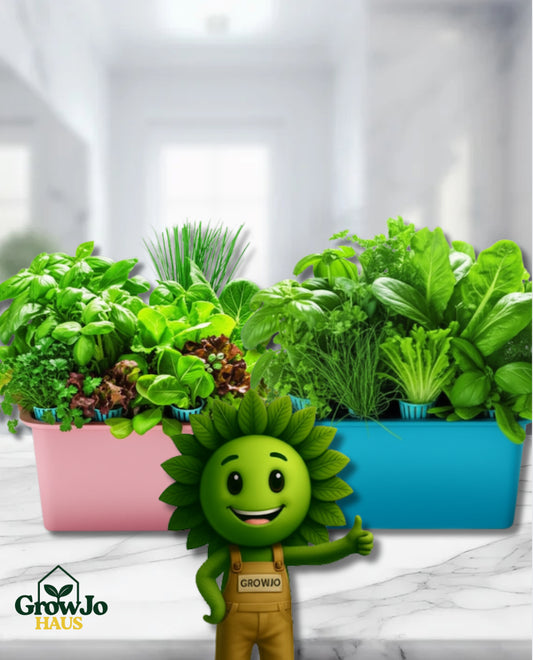 Growjo DWC Starter Kit